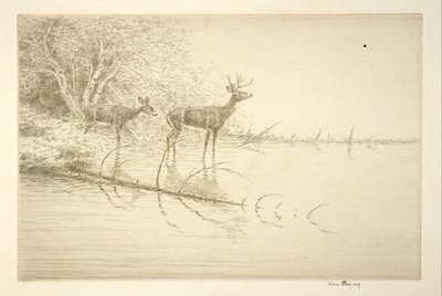  autorstwa Kerr Eby