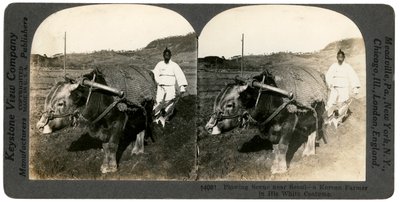 Rolnictwo w pobliżu Seulu, Korea Południowa, 1900. autorstwa Keystone View Company