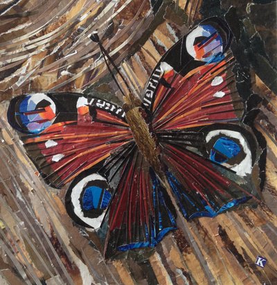 Obudzony pawi motyl na stosie autorstwa Kirstie Adamson