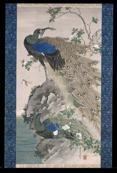 Cherry-Apple And Peacocks On Rock (atrament i kolory na jedwabiu) autorstwa Kishi Ganku