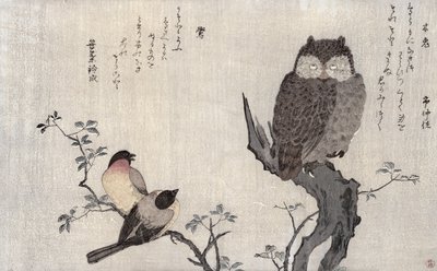 Sowa i dwa gile wschodnie, z albumu „Ptaki porównywane w pieśniach humorystycznych, konkurs poezji 100 i 1000 ptaków”, 1791 (kolorowy drzeworyt) autorstwa Kitagawa Utamaro