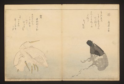 Kormoran i czapla autorstwa Kitagawa Utamaro