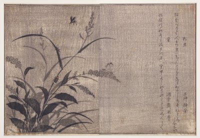 Świerszcz i świetliki, 1788 (drzew) autorstwa Kitagawa Utamaro