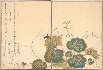 Dżdżownica Mimizu, Cricket Korogi..., 1788. autorstwa Kitagawa Utamaro