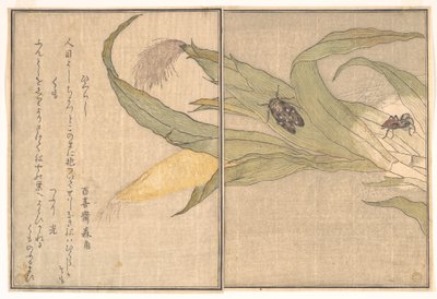  autorstwa Kitagawa Utamaro