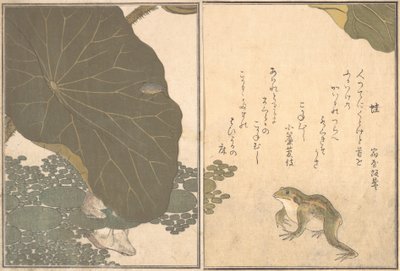 Flog Frog, po LD Beet Gold Ignore. . . , 1788. autorstwa Kitagawa Utamaro