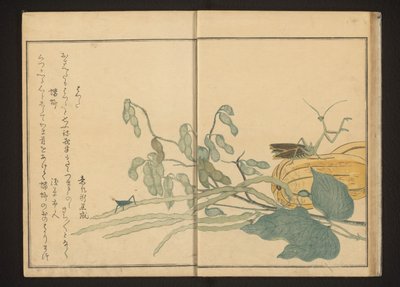 Konik polny na fasoli i modliszka na melonie autorstwa Kitagawa Utamaro