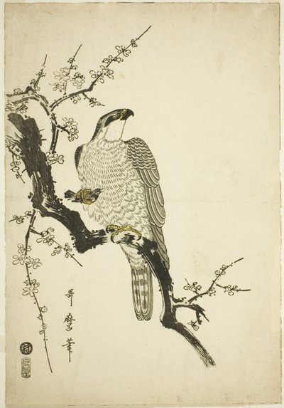 Jastrząb na śliwce autorstwa Kitagawa Utamaro