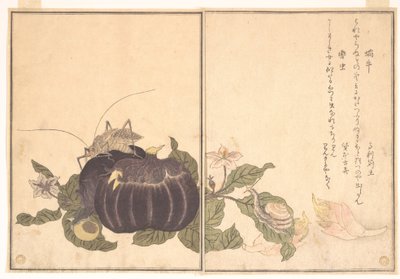  autorstwa Kitagawa Utamaro