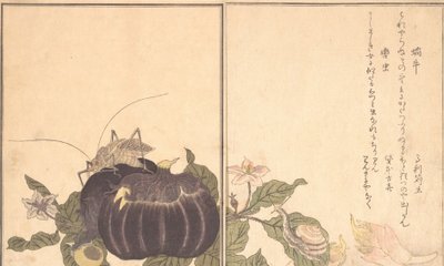 Ślimak w wachlarzu d S, ślimak w rachunku. . . , 1788. autorstwa Kitagawa Utamaro