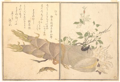 Turkuć podjadek (Kera); skorek (Hasami-mushi), z Ilustrowanej księgi pełzających stworzeń (Ehon mushi erami) autorstwa Kitagawa Utamaro