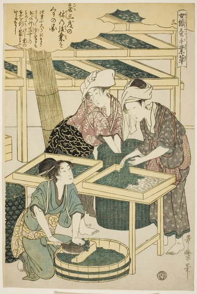 nr 3 (san), z serii „Kobiety zajmujące się serownictwem (Joshoku kaiko tewaza-gusa)” autorstwa Kitagawa Utamaro