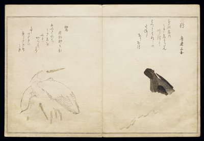 P.332-1946 Vol.1 f.4 Kormoran po prawej i dwie czaple śnieżne po lewej, z albumu „Ptaki porównywane w pieśniach humorystycznych”, 1791 (kolorowy drzeworyt) autorstwa Kitagawa Utamaro