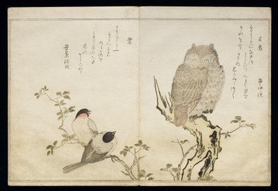 P.332-1946 Vol.2 f.4 Sowa i dwa gile wschodnie, z albumu „Ptaki porównane w pieśniach humorystycznych”, 1791 (kolorowy drzeworyt) autorstwa Kitagawa Utamaro
