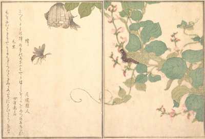 Papierowa Osa Hachi, Owłosiona Gąsienica Kemushi..., 1788. autorstwa Kitagawa Utamaro
