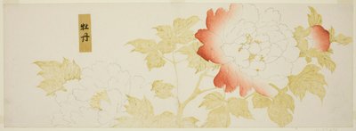 Piwonie autorstwa Kitagawa Utamaro