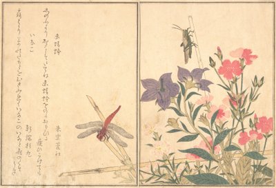 Czerwona ważka Akatonbo, Locust Inago..., 1788. autorstwa Kitagawa Utamaro