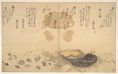  autorstwa Kitagawa Utamaro
