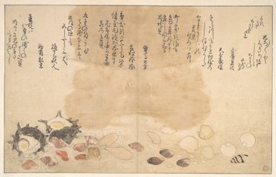 Muszle pod wodą autorstwa Kitagawa Utamaro