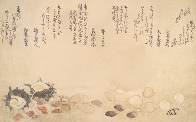 Muszle pod wodą, 1790. autorstwa Kitagawa Utamaro