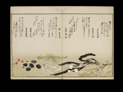 Shiohi no tsuto (Dary z odpływu), znany jako Księga Muszli, 1789 (kolorowy drzeworyt) autorstwa Kitagawa Utamaro