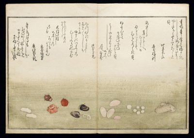 Shiohi no tsuto (Dary z odpływu), znany jako Księga Muszli, 1789 (kolorowy drzeworyt) autorstwa Kitagawa Utamaro