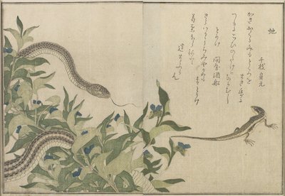 Wąż i jaszczurka, 1788 (kolorowy drzeworyt) autorstwa Kitagawa Utamaro