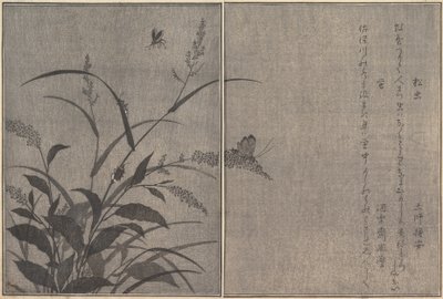 Drzewo świerszcz Matsumushi, Świetlik Hotaru..., 1788. autorstwa Kitagawa Utamaro