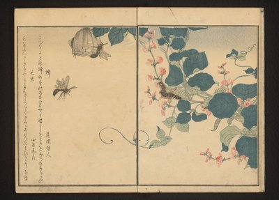 Osy i włochata gąsienica na maranta autorstwa Kitagawa Utamaro