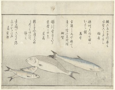 Cztery ryby autorstwa Kitao Masayoshi