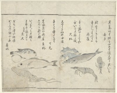 Zwierzęta morskie autorstwa Kitao Masayoshi