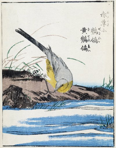 Ptak. Japoński rysunek Kitao Kosuisai autorstwa Kitao Shigemasa