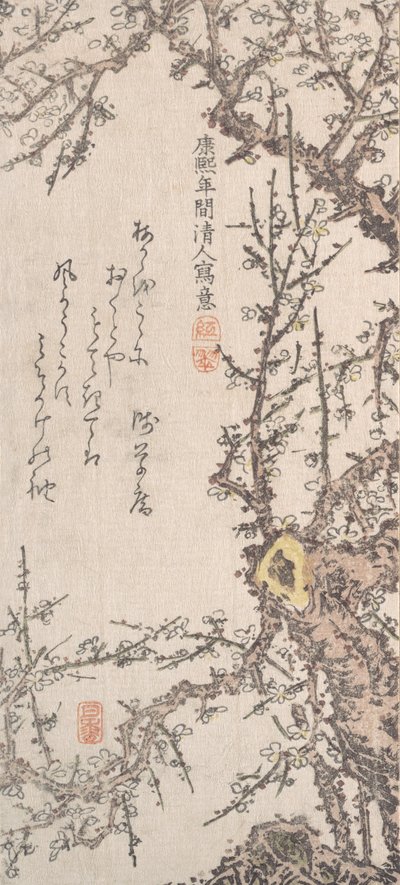 Plum Tree in Blossom, koniec XVIII-początek XIX wieku. autorstwa Kitao Shigemasa