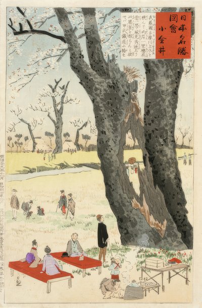 Koganei, Kwiaty wiśni autorstwa Kiyochika Kobayashi