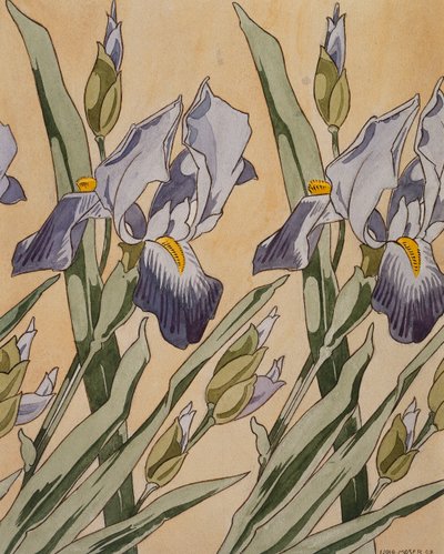 Irys, 1898 autorstwa Koloman Moser