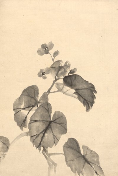 Oddział Begonia w Rozkwicie. autorstwa Kono Bairei