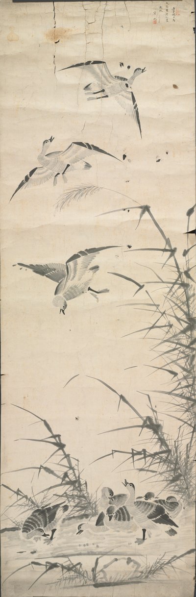 Dzikie gęsi i trzciny autorstwa Korea, Joseon dynasty