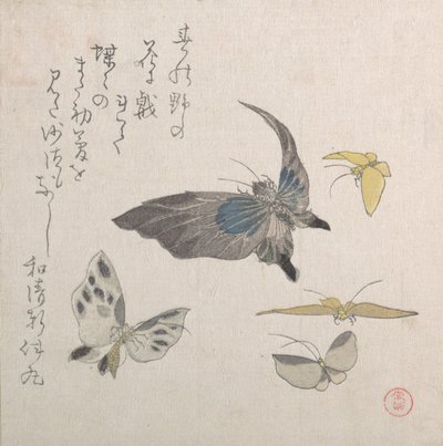 Motyle, XIX wiek. autorstwa Kubo Shunman
