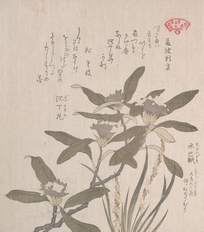 Daphne Odora i Mojisuri-so, XIX wiek. autorstwa Kubo Shunman