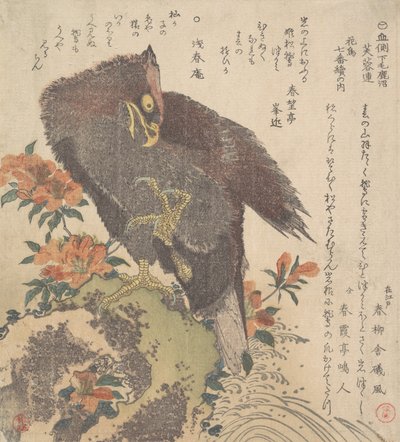 Orzeł na skale, kwitnące azalie, ca. 1800. autorstwa Kubo Shunman