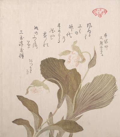 Kwiaty Hotei, XIX wiek. autorstwa Kubo Shunman