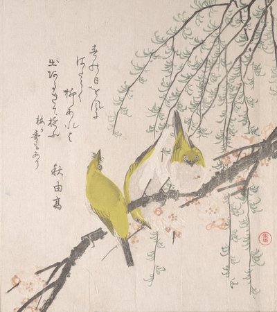 Japońskie białooki ze śliwką i wierzbą..., ca. 1810. autorstwa Kubo Shunman