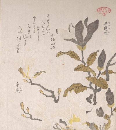 Kwiaty magnolii, XIX wiek. autorstwa Kubo Shunman