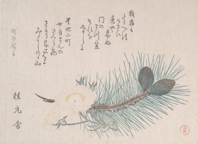 Sosny i Kwiaty Wiśni, prawdopodobnie 1814 r. autorstwa Kubo Shunman