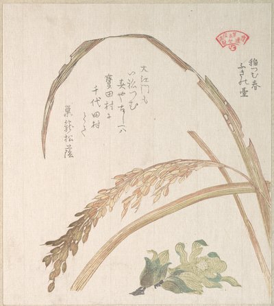  autorstwa Kubo Shunman