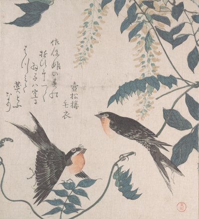 Jaskółki i Wisteria, XIX w. autorstwa Kubo Shunman