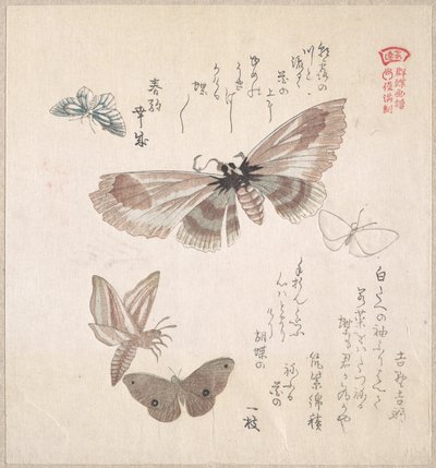  autorstwa Kubo Shunman