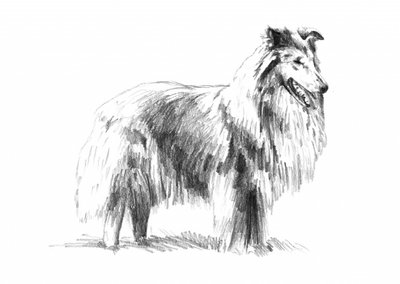  autorstwa Kulik