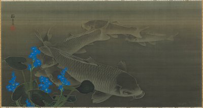 Karp, okres Edo, początek XIX wieku. autorstwa Kuroda Toko
