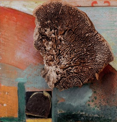 Bez tytułu (zdjęcie Merz z koralem) autorstwa Kurt Schwitters